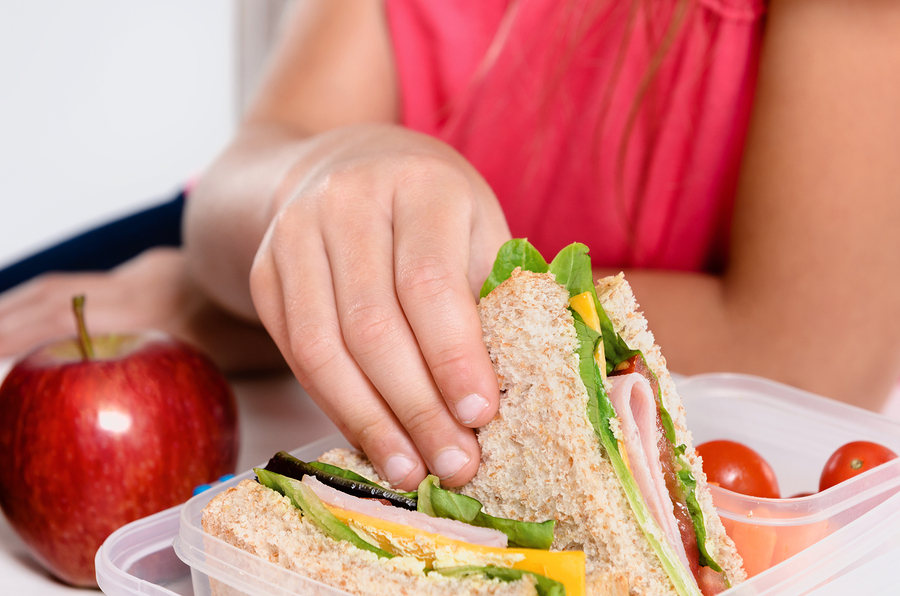 5 Healthy Lunch Ideas For Kids with Sensitive Tummies