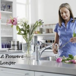 How To Keep Cut Flowers for Longer