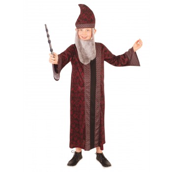 Harry Potter Dumbledore Child Costume Rubies Costumes DS RU3982 31 | Stay at Home Mum.com.au
