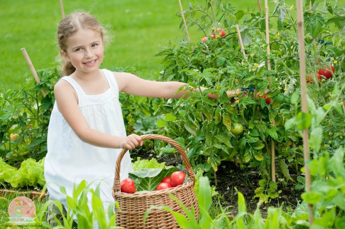 Lowering Your Food Budget with a Garden