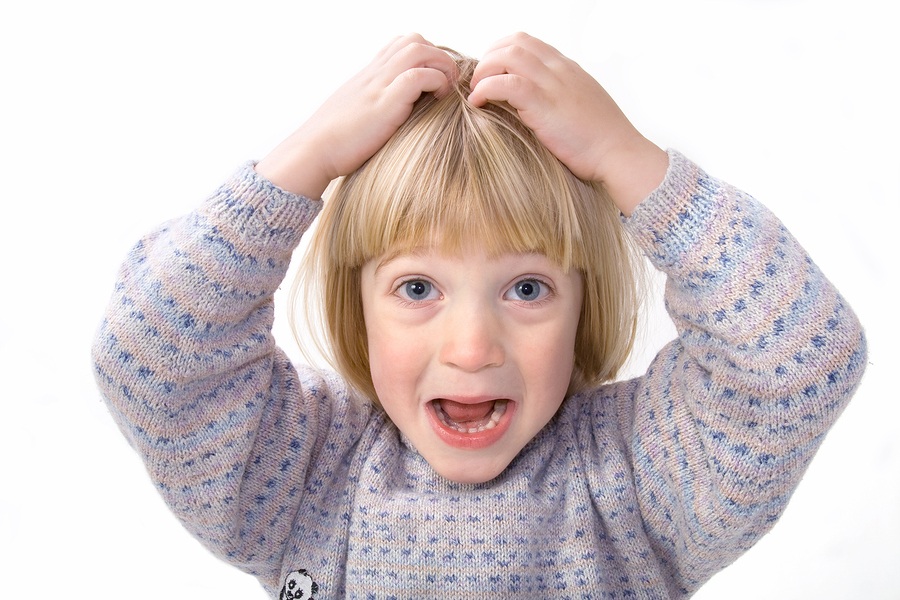 7 Common Myths Around Headlice | Stay At Home Mum