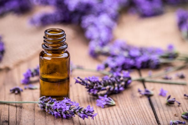 5 Tips For Cleaning with Lavender Oil