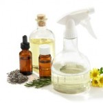 Essential Oils 1 | Stay at Home Mum.com.au