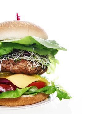 Low Fat Hamburger | Stay at Home Mum