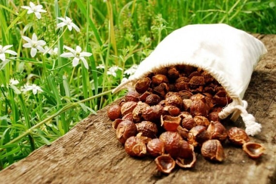 Everything You Need to Know About Soapnuts