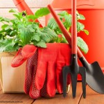 All Natural Gardening Solutions