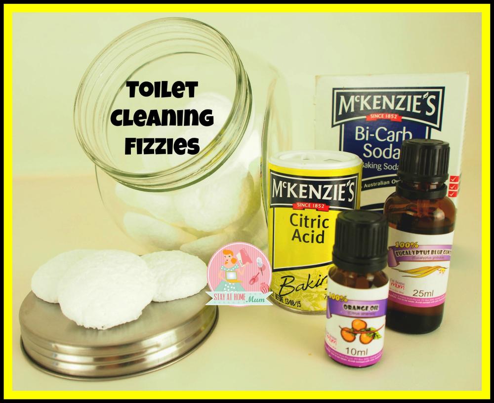 Toilet Cleaning Fizzies