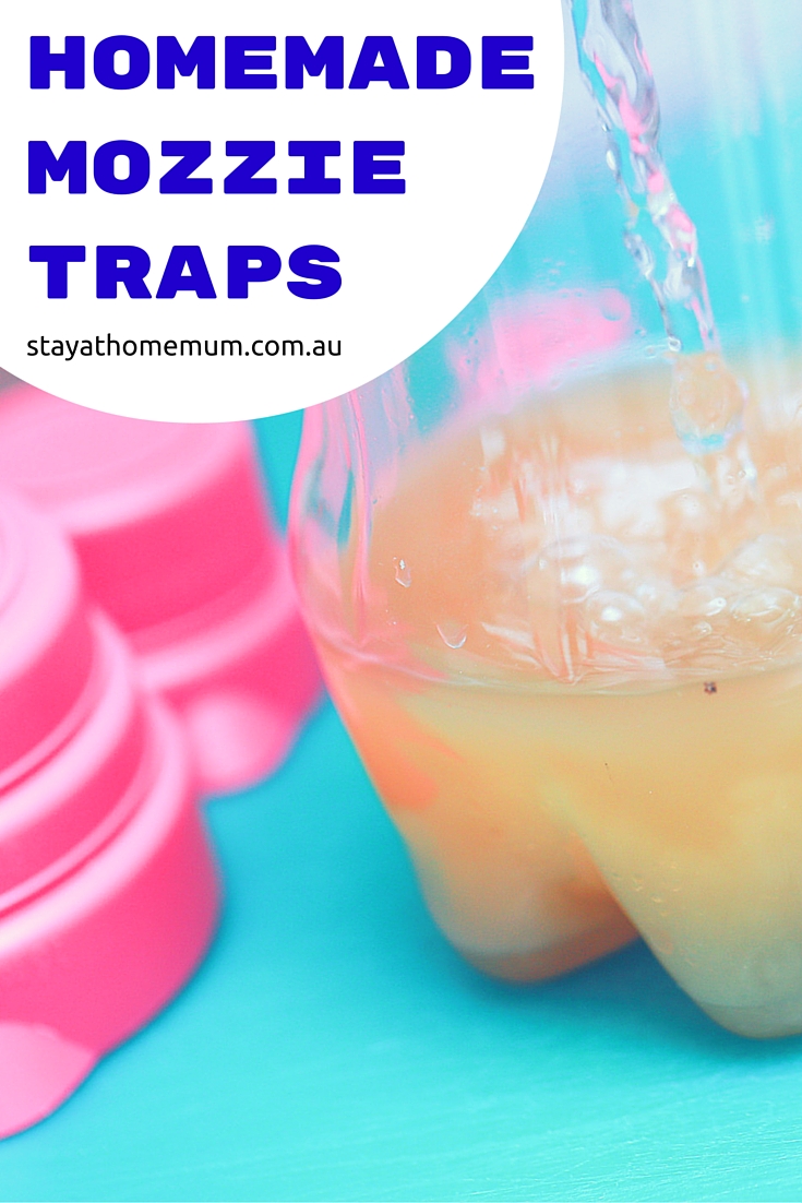 Homemade Mozzie Traps | Stay at Home Mum