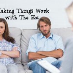 Making Things Work with The Ex