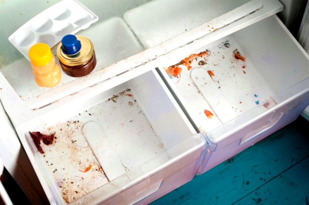 How To Clean Your Fridge (and Keep It Clean!)