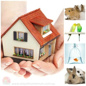 Small Pets For Small Homes
