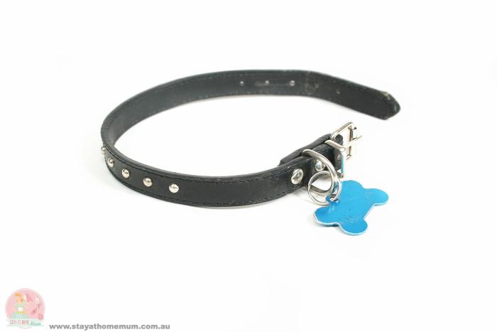 pet registration tag