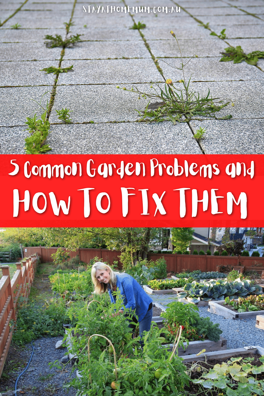 5 Common Garden Problems and How to Fix Them Pinnable