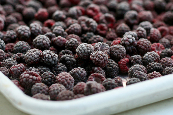 Scary berries: how food gets contaminated and what to do