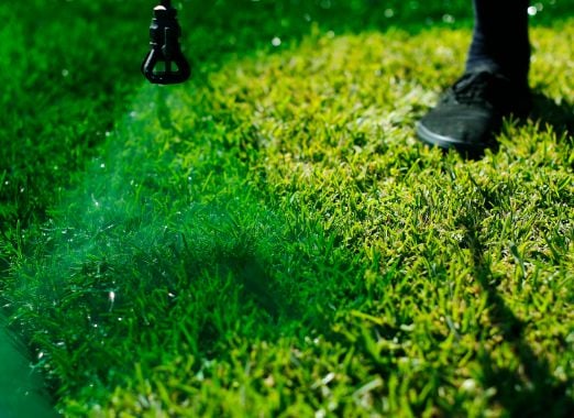 When In Drought? Paint Your Lawn Green
