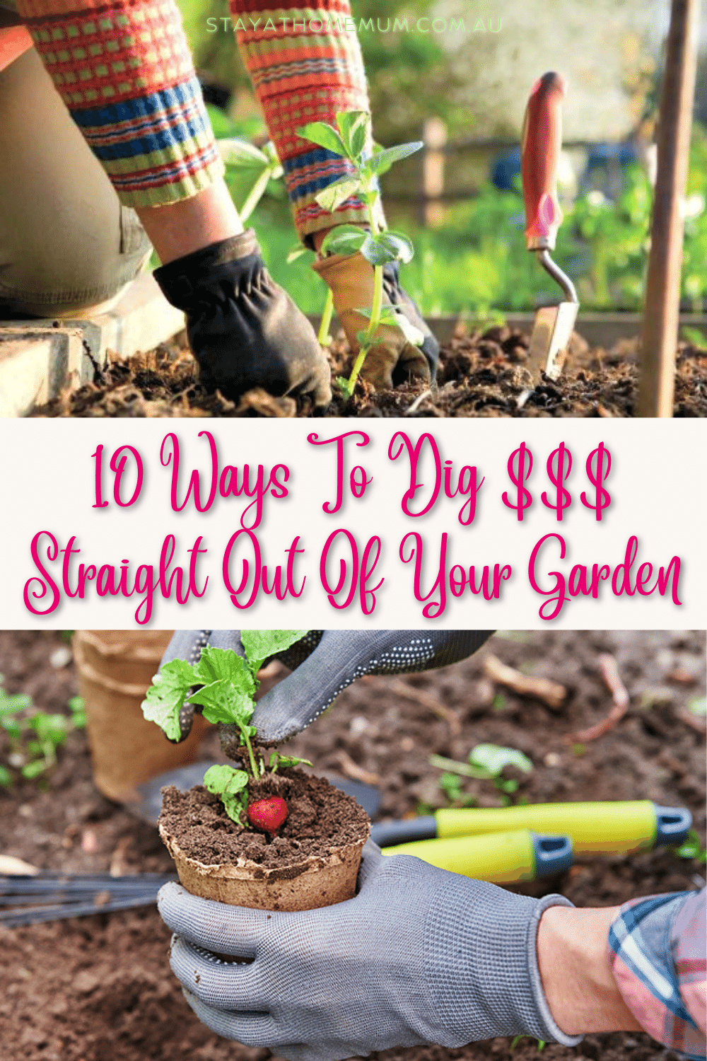 10 Ways To Dig $$$ Straight Out Of Your Garden Pinnable