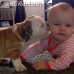 Babies Versus Dogs? Which One Would You Choose? | Stay At Home Mum