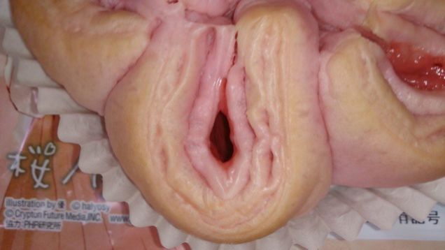 30 Things That Look Like A Vagina -- But Aren't! | Stay At Home Mum