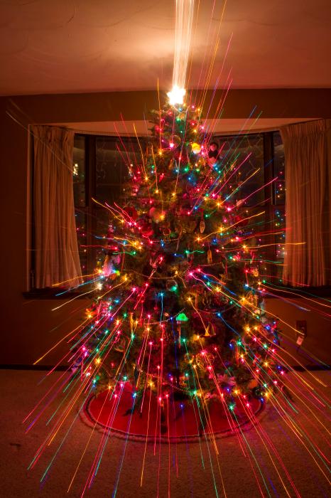 Colourful Christmas Trees | Stay At Home Mum
