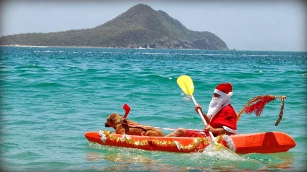 Image result for pictures of summer christmas