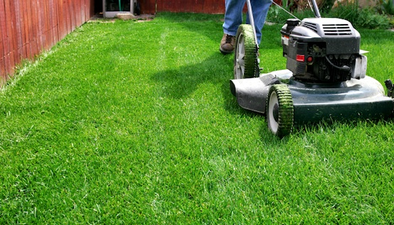 yard lawn maintenance | Stay at Home Mum.com.au