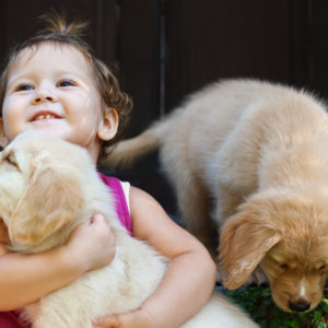 15 Adorable Facts About Labrador Retrievers