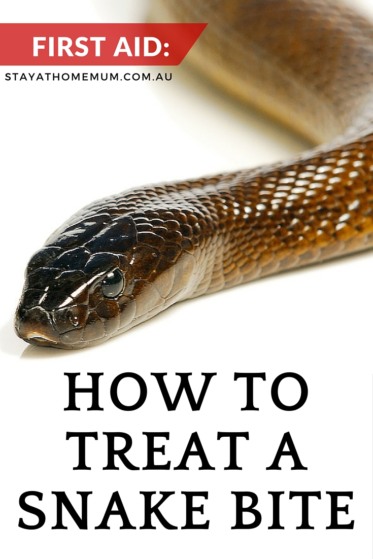 First Aid How To Treat A Snake Bite Stay At Home Mum