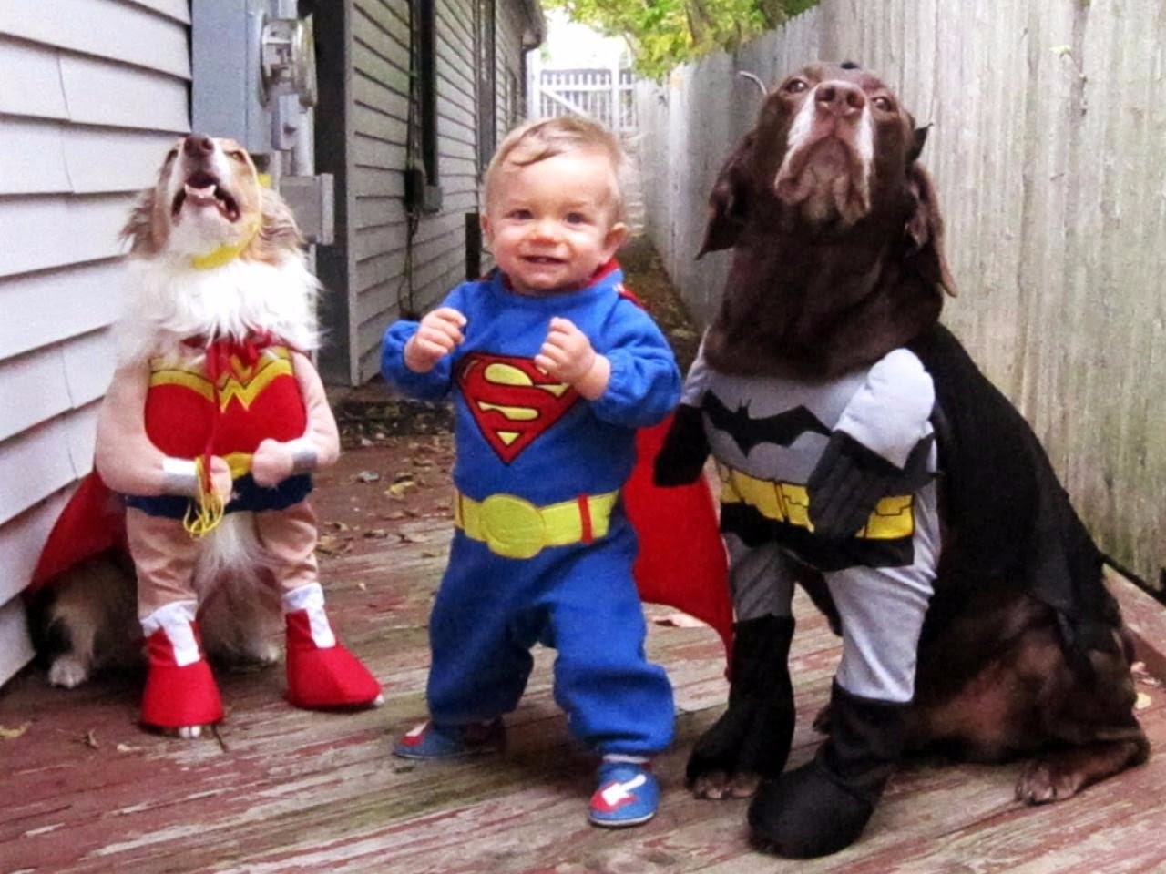 18 Reasons Why Kids Don’t Need Pets