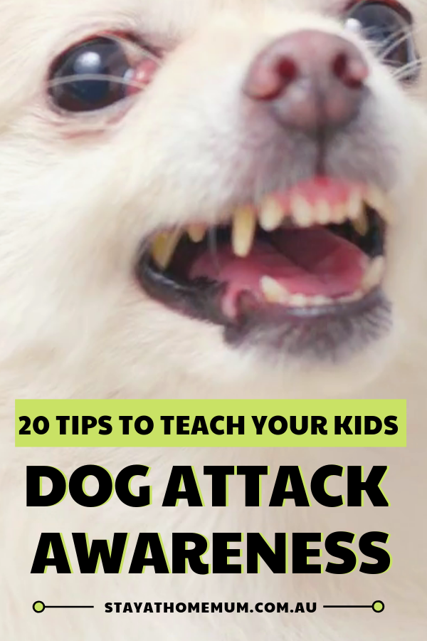 20 Tips to Teach Your Kids Dog Attack Awareness | Stay at Home Mum.com.au