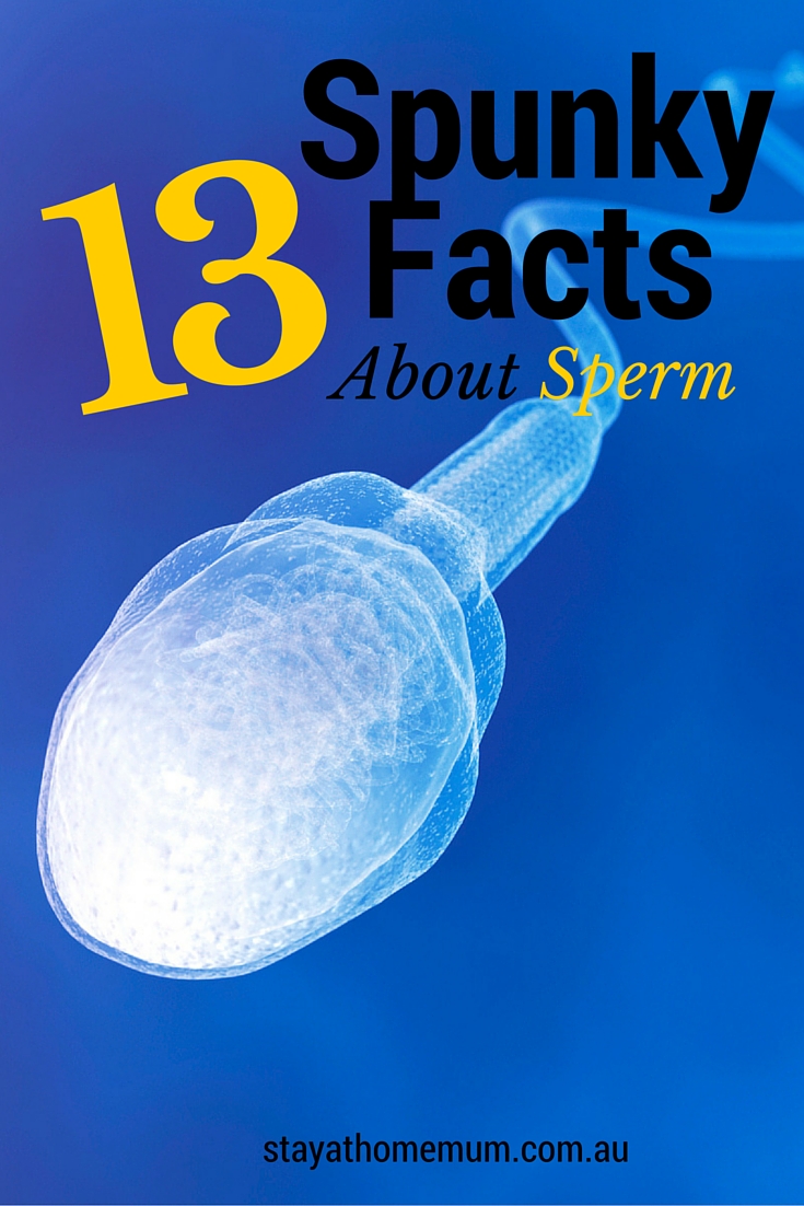 in sperm Coccaine