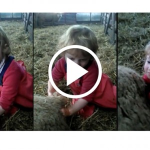 Three Year Old Girl Delivers A Lamb All By Herself