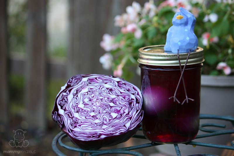 natural-easter-egg-dye-purple-cabbage