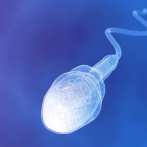 13 Spunky Facts about Sperm