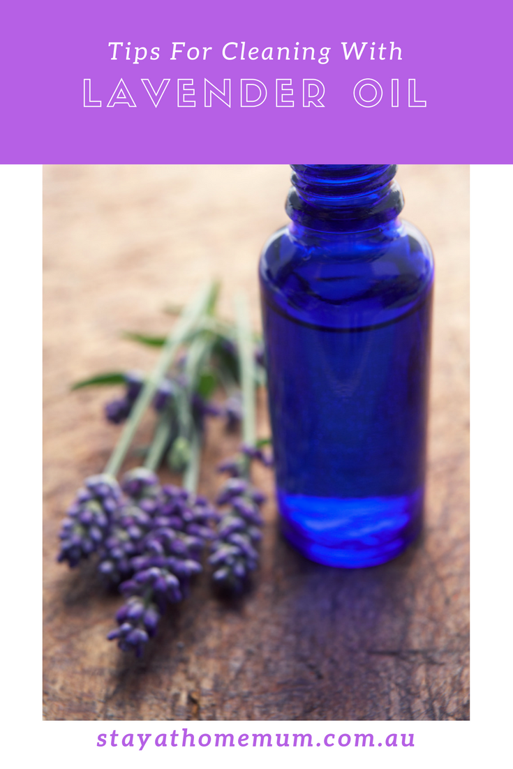 Cleaning with Lavender Oil | Stay at Home Mum.com.au