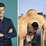 Celebrity Chef Pete Evans Slammed for Suggesting Camel Milk as Breast Milk Substitute | Stay at Home Mum
