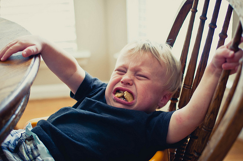 toddler tantrum2 | Stay at Home Mum.com.au