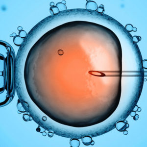 Woman Unable to Conceive Gives Birth Using ‘Three-Parent’ IVF Technique