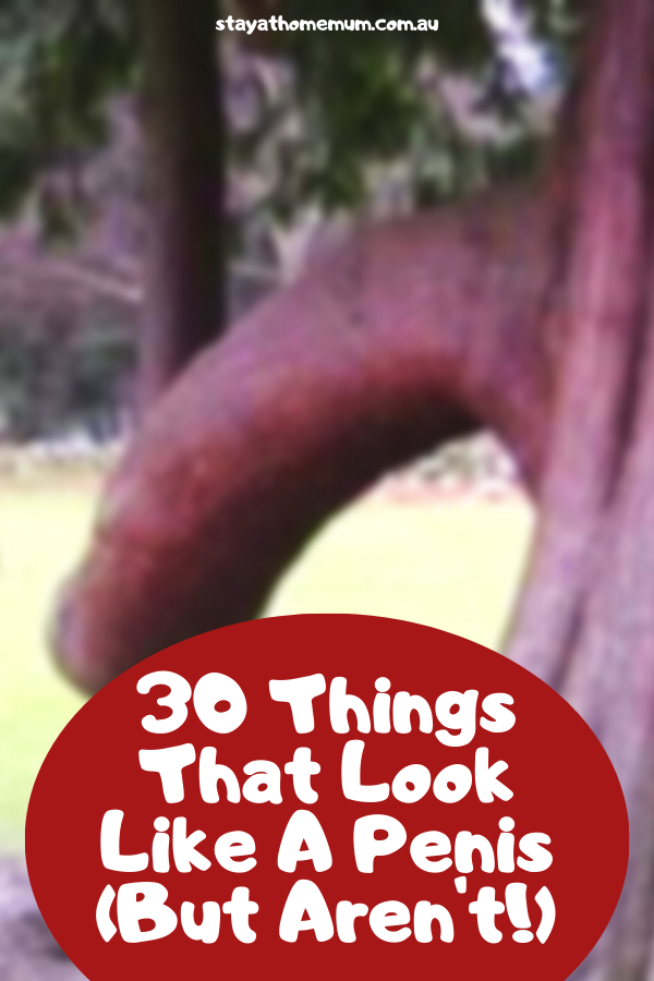 30 Things That Look Like A Penis | Stay At Home Mum