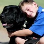 Mum Disappointed After Autistic Son's Service Dog Was Banned From Classroom | Stay at Home Mum