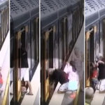 Parents Warned After Toddler Slips Through Gap Between Train and Platform At Cronulla Station | Stay at Home Mum