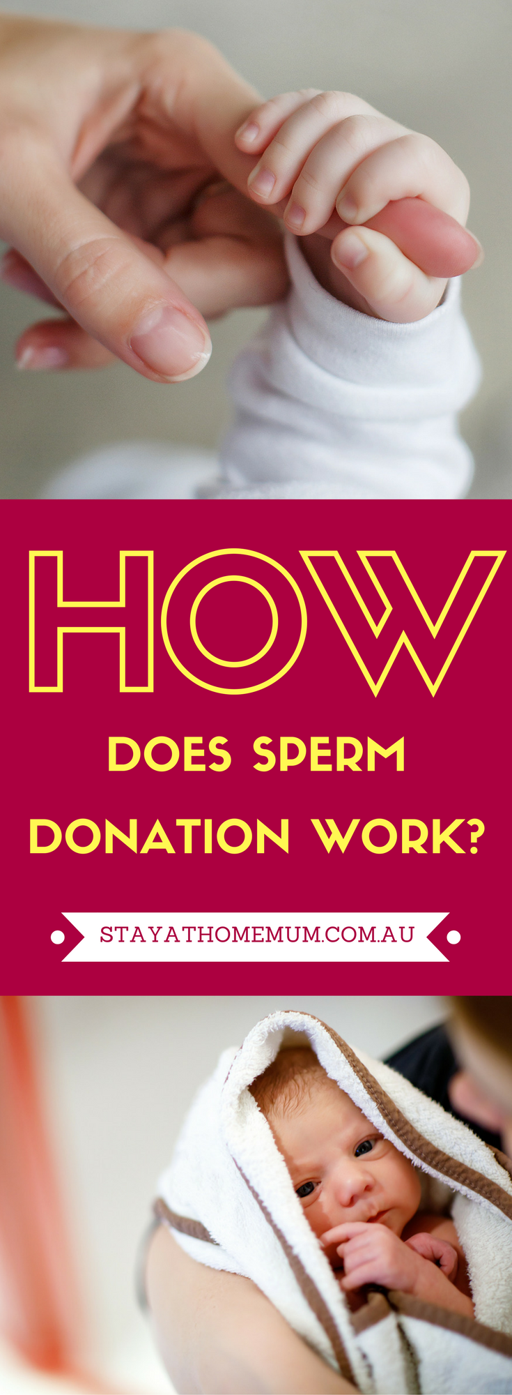 How Does Sperm Donation Work-