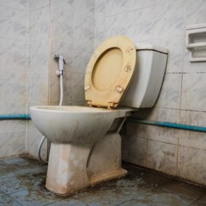 The Terror of Germy Public Toilets
