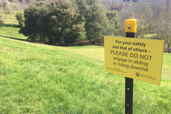 Mum Furious After Kids Are Banned From Rolling Down Hill At Botanic Gardens