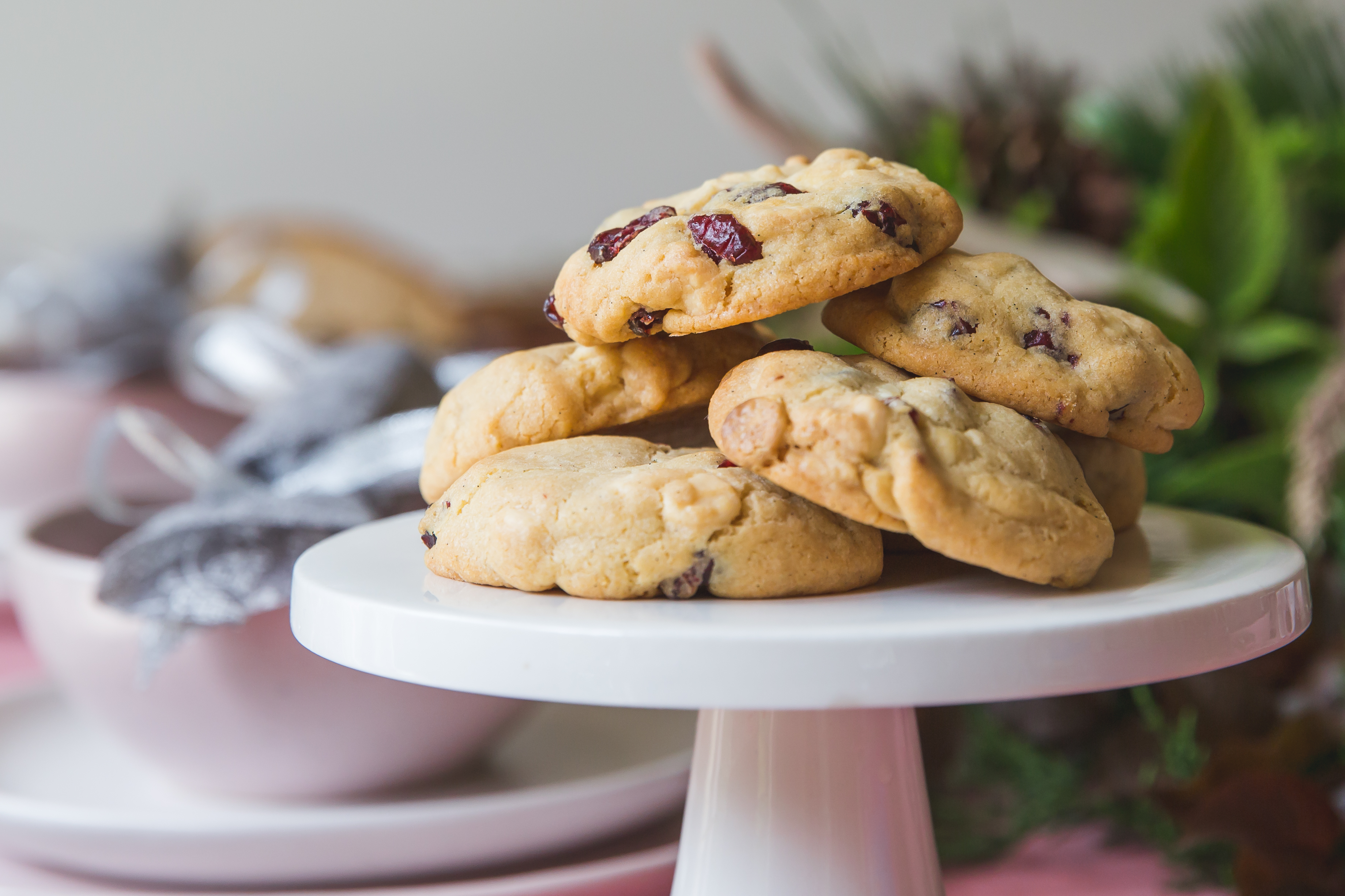 White Chocolate and Cranberry Biscuits