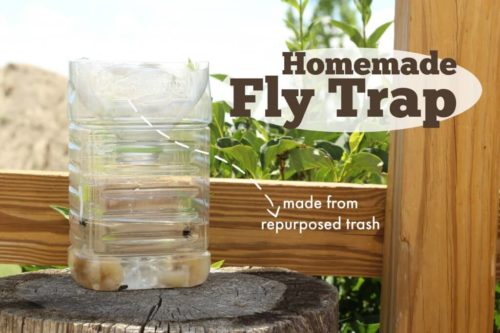 Natural Ways to Get Rid of Flies Both Inside and Outside! | Stay At Home Mum