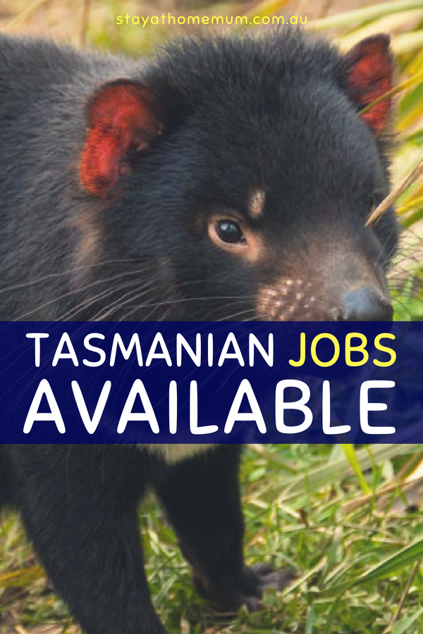Tasmanian Jobs Available | Stay at Home Mum.com.au