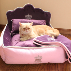 Would You Pay $1200 For A Cat Or Dog Bed?