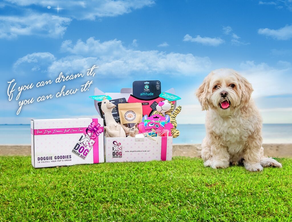 List of the Best Pet Subscription Boxes Stay at Home Mum
