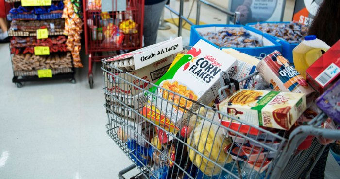 groceries shopping cart | Stay at Home Mum.com.au