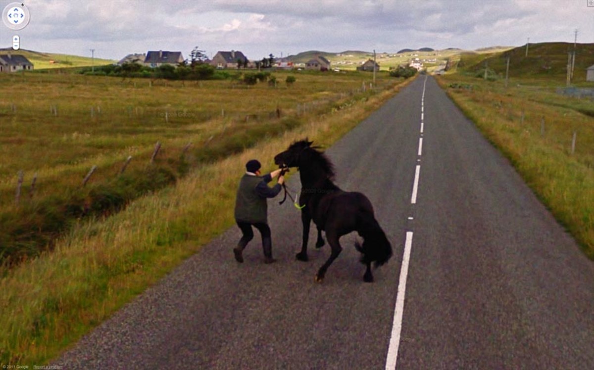 16 Funniest Photos Captured On Google Street View